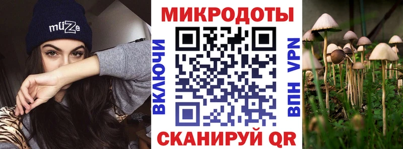 Купить где  Покачи  Псилоцибиновые грибы GOLDEN TEACHER 